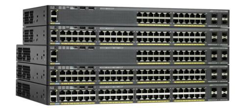 真如镇交换机回收